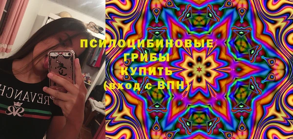 сатива Алексин