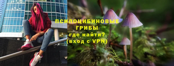 гидропоника Алзамай